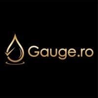 Gauge.ro logo